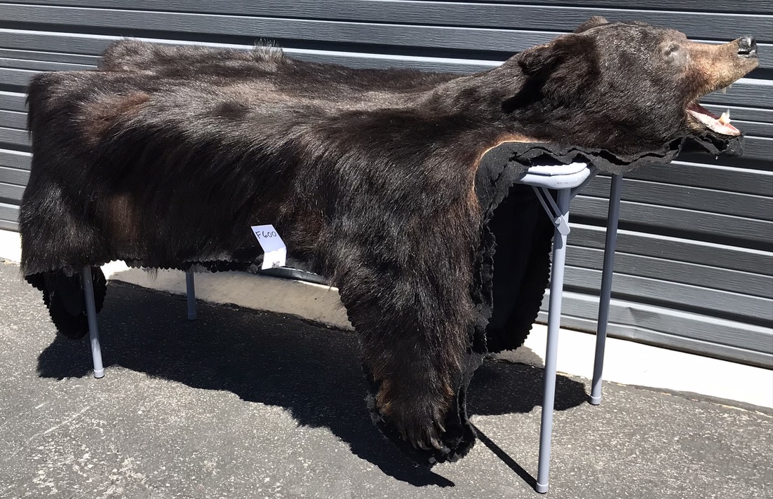 bear rug for sale