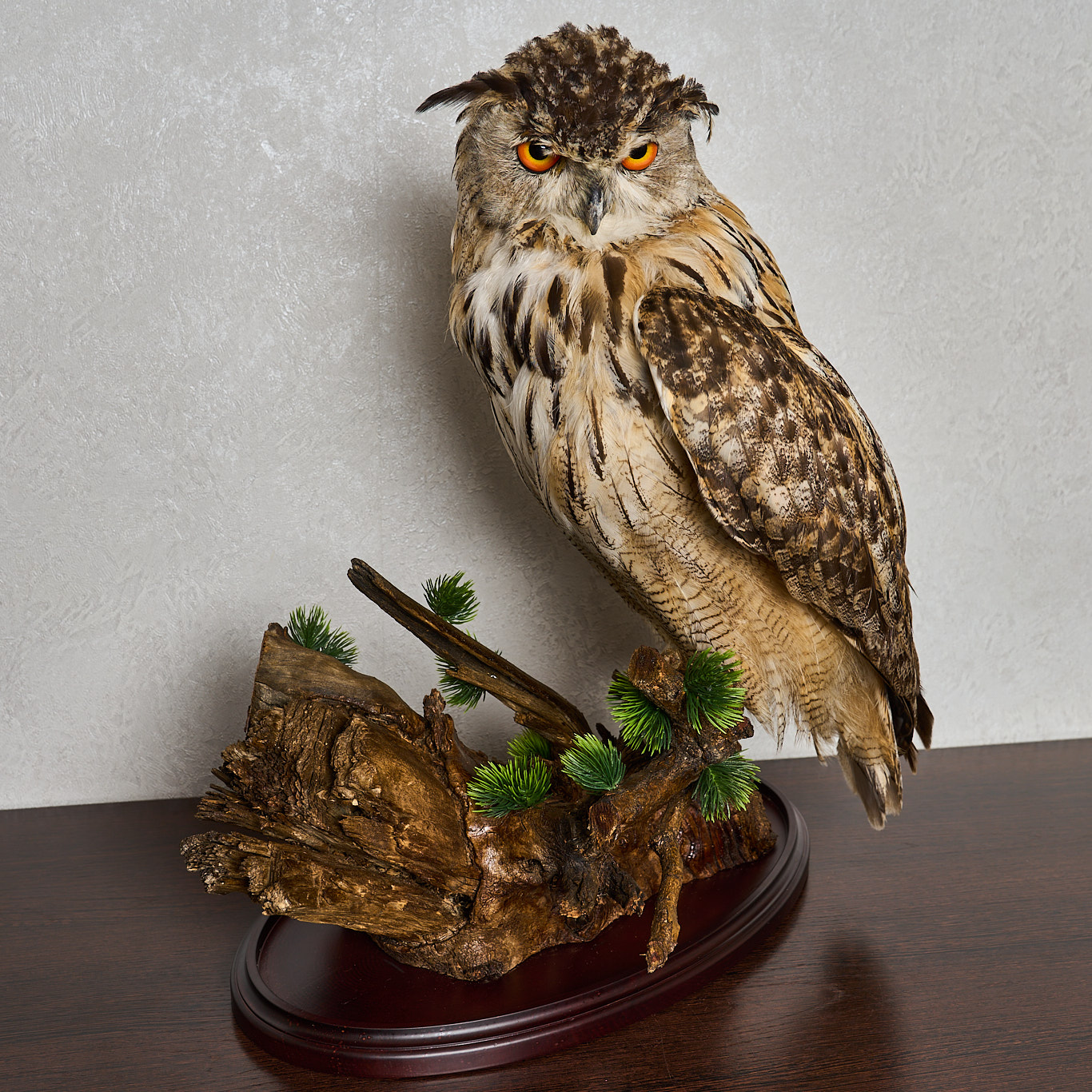 eurasian eagle owl